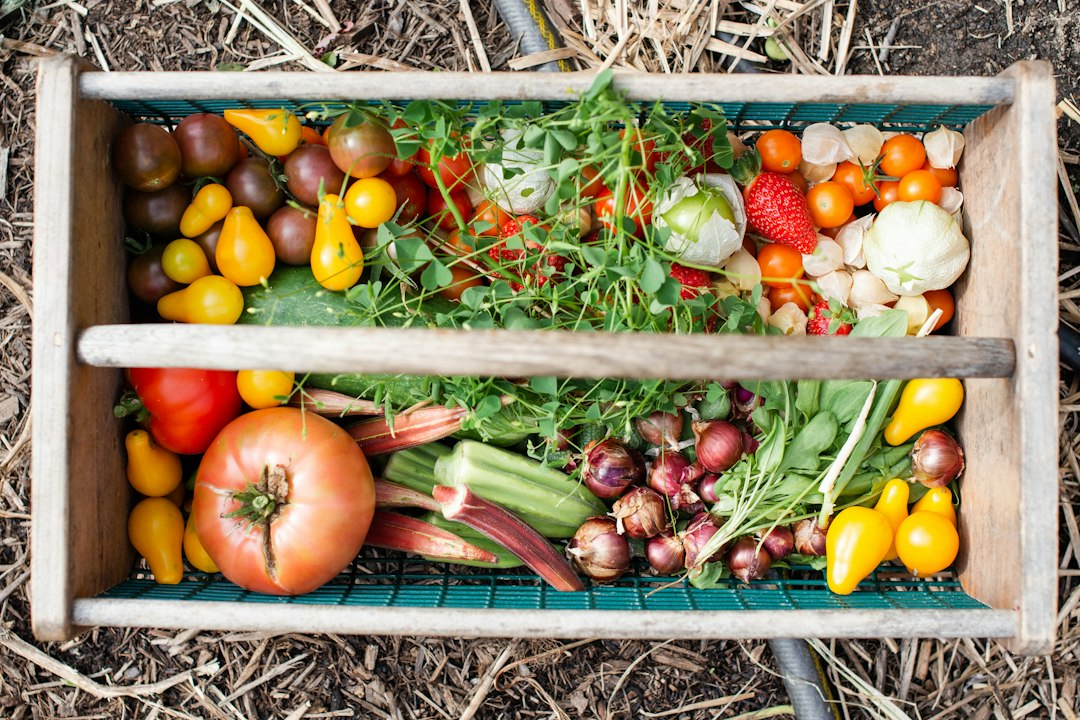 Rustic basket filled with freshly harvested garden vegetables